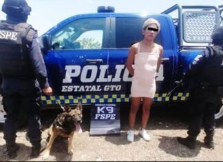 Asegura elemento de la Unidad Canina #K9 de las FSPE en la ciudad de León a una persona en posesión de droga.