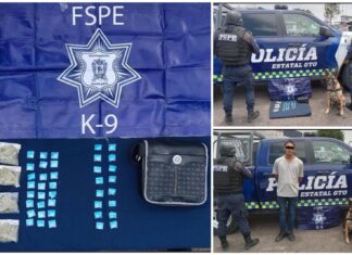 Detiene Janka de la Unidad Canina K9 de las FSPE en León a un hombre con cristal, mariguana y piedra base.