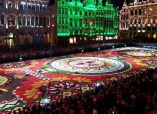 Participará Guanajuato en el 50 Aniversario de la Alfombra de Flores de Bruselas, Bélgica.