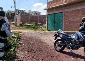Localizan el cuerpo sin vida de un hombre en la colonia Ampliación San José en Salamanca