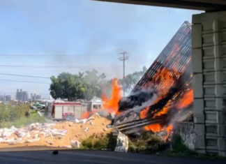 El conductor de un camión de carga murió después de volcar la unidad que conducia en el libramiento carretero Celaya- Valle de Santiago.