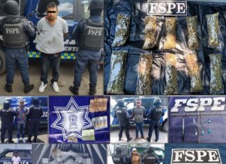 Guanajuato Seguro, saca de las calles de la entidad más de 15 mil dosis de drogas.