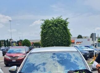 Detienen a dos sujetos con un arma de fuego en León; si los identificas denunciarlos.