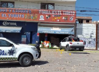 Ejecutan a un hombre en un negocio de forrajes en la colonia Lomas de Los Castillos, en León.