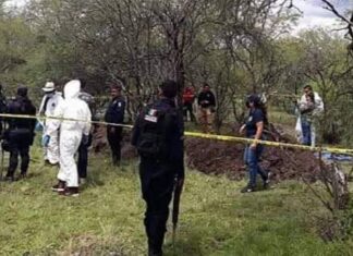 Un ama de casa entre los 11 cuerpos encontrados en fosa clandestina; aún faltan cuatro cuerpos por identificar