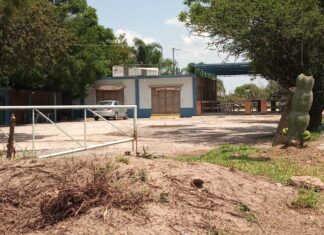 Suman nueve muertos en masacre en bar clandestino de Celaya.