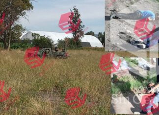 Localizan los cuerpos sin vida de tres personas en las comunidad Plancarte en Celaya