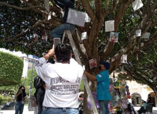 Colectivo salmantino de búsqueda de personas colocó «Árbol de la Esperanza»