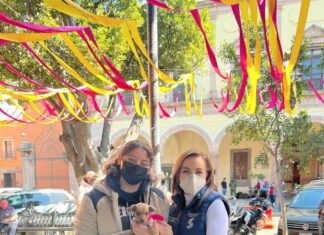 Se intensificarán campañas de adopción caninas .