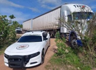 En Guanajuato, Guardia Nacional recupera tres tractocamiones con reporte de robo cargados con diversas mercancías.
