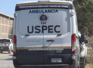 Vecinos encuentran cadáver putrefacto en un predio en Morelia Mich.