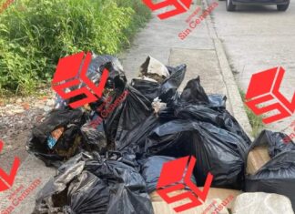 Aseguran mas de 90 kilos de marihuana en un lote baldío en la colonia Rincón de la Florida, en León.