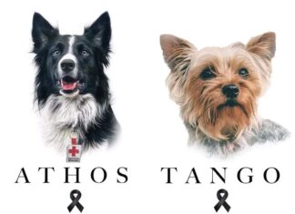 Por matar a Athos y Tango con salchichas envenenadas, estará 10 años y 6 meses en prisión.