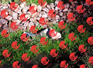 Localizan el cuerpo sin vida de un hombre en la colonia Refugio de Rosas en León