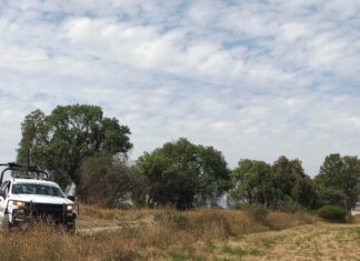 Atacan a balazos a un vigilante de una granja en Villagrán, fue trasladado grave para su atención médica.