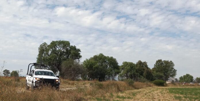 IMG-20220829-WA0023