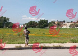 Reportan hallazgo de restos humanos en las colonias Los Naranjos y Rinconada del Bosque, en Celaya.