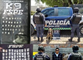 Elementos de la Unidad Canina #K9 de las #FSPE, aseguran en la ciudad de #León varias dosis de cristal.