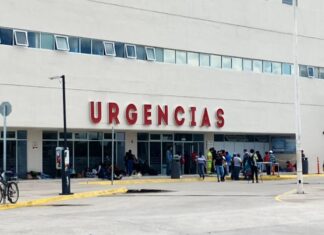 Una madre y su pequeña hija de cuatro años fueron atacadas por un perro en la colonia Eyupol en León.