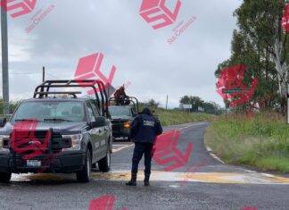 Localizan los cuerpos sin vida de una mujer y dos hombres en la carretera Tarimoro-Acámbaro