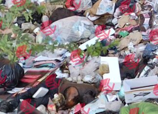 Hallan cuerpo dentro de basurero clandestino en Valle de Santiago