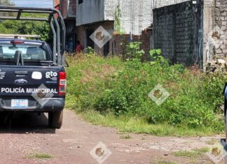 Una mujer fue asesinada al interior de su domicilio en URIANGATO; presentaba visibles huellas de violencia y lesiones de arma de fuego.