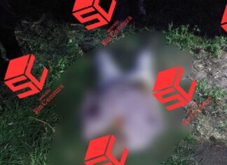 Asesinan a un hombre al interior de un domicilio en la comunidad de Ceranoen Yuriria