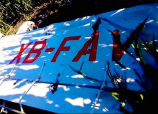 Se desploma avioneta aún costado de la carretera Irapuato-Abasolo; el piloto murió.