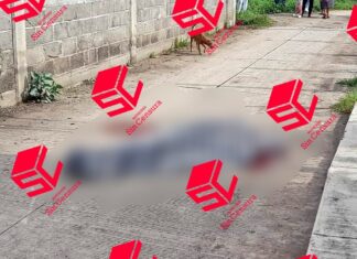 Una mujer fue asesinada en San Pedro de los Sauces