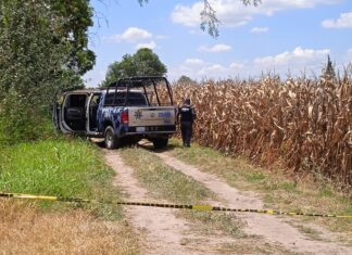 Localizan los cuerpos sin vida de dos personas en la comunidad de Roque, en Celaya.