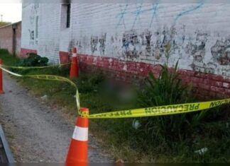 Encuentran cabeza humana junto a las vías del tren