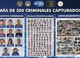 La Fiscalía General del Estado logró la captura de más de 200 criminales, desarticuló células delictivas, capturó objetivos criminales, aseguró armas, droga y diversos objetos.