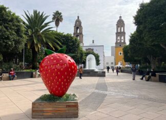 AJUSTAN HORARIOS DE OPERACIÓN DE ANTROS, BARES Y DISCOTECAS