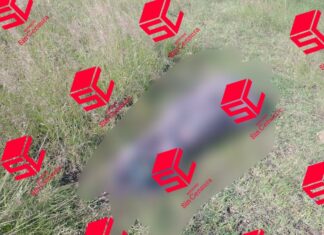 Localizan el cuerpo sin vida de una persona encobijado en la carretera Jaral del Progreso- Valle de Santiago.