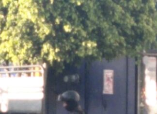 El hombre que fue agredido a balazos en la colonia Ávila Camacho en Apaseo El Alto, murió en el hospital cuando recibía atención médica.