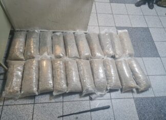 Detiene la Policía de León en Gran Jardín a presunto distribuidor de droga.
