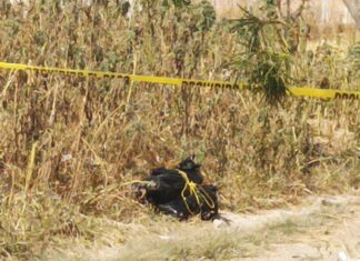 Localizan restos humanos en bolsas de plástico en la colonia Residencial Camelinas, en León.