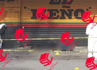 Un hombre mato a su expareja y después se suicidó en la vía pública en León.