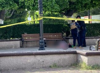 Sujetos armados ejecutan a un hombre en la plaza cívica de la colonia Ávila Camacho en Apaseo El Alto Gto.