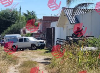 Tres sujetos fuertemente armados asesinaron a cuatro integrantes de una familia en la comunidad de El Maguey en San Francisco del Rincon.