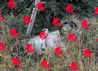 DOS PERSONAS MUERTAS Y DOS LESIONADAS FUE EL SALDO DE UN ACCIDENTE EN YURIRIA.