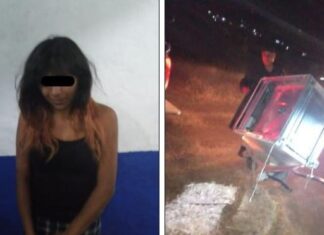 Policía de Guanajuato detuvieron a una mujer como presunta responsable de robo a casa habitación.