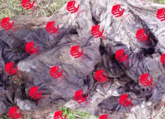 Continúan los trabajos de búsqueda de restos humanos en el fraccionamiento Santa Fe en Irapuato.