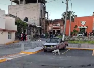 Ataque armado en la comunidad de Cerro Gordo en Salamanca, dejo un saldo de un hombre muerto y una mujer lesionada.