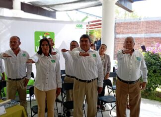 Toma protesta nueva dirigencia del partido verde en Salamanca