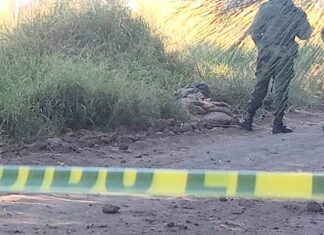 Encuentran los cuerpos sin vida de dos hombres en la comunidad de Santa Teresita en Celaya.