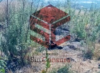 Un hombre fue asesinado a balazos en la Glorieta de San Juan Bosco de la colonia El Vibar, en León.