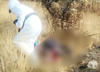 Localizan el cuerpo sin vida de una persona encobijado en la colonia Brisas del Campestre en León.