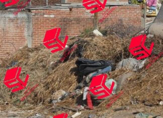 Encuentran el cuerpo sin vida de una persona en la colonia Lomas de medina en León