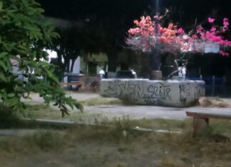 Un hombre fue asesinado a balazos al interior de un vehículo en el parque de Los Manzanos,en la colonia, Los Naranjos en Celaya.